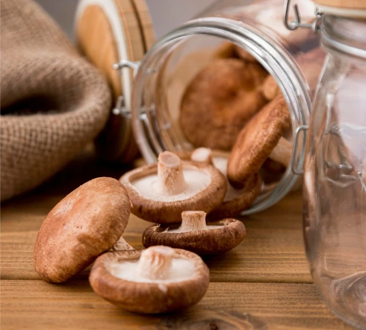 Ebook gratis descargable: Hongos funcionales Descubre las tendencias y qué impulsa al mercado