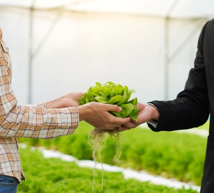 Ebook exclusivo: Salud sustentable sus estrategias y oportunidades en la industria alimentaria