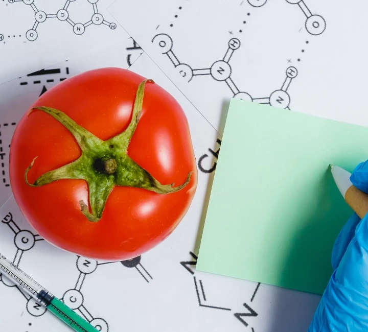 Ingredientes funcionales: El bienestar como incentivo para el consumo de adaptógenos