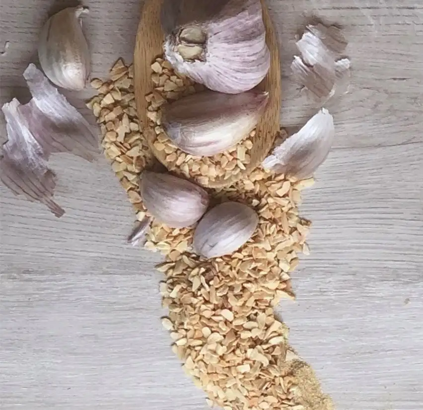 imagen-producto-thefoodtech
