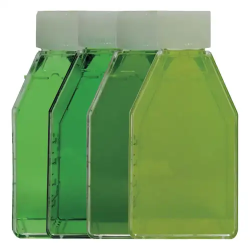 imagen-producto-thefoodtech