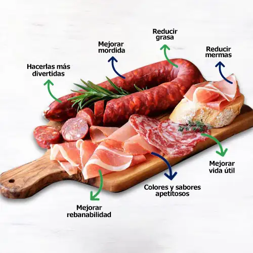 imagen-producto-thefoodtech