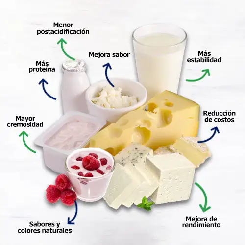 imagen-producto-thefoodtech