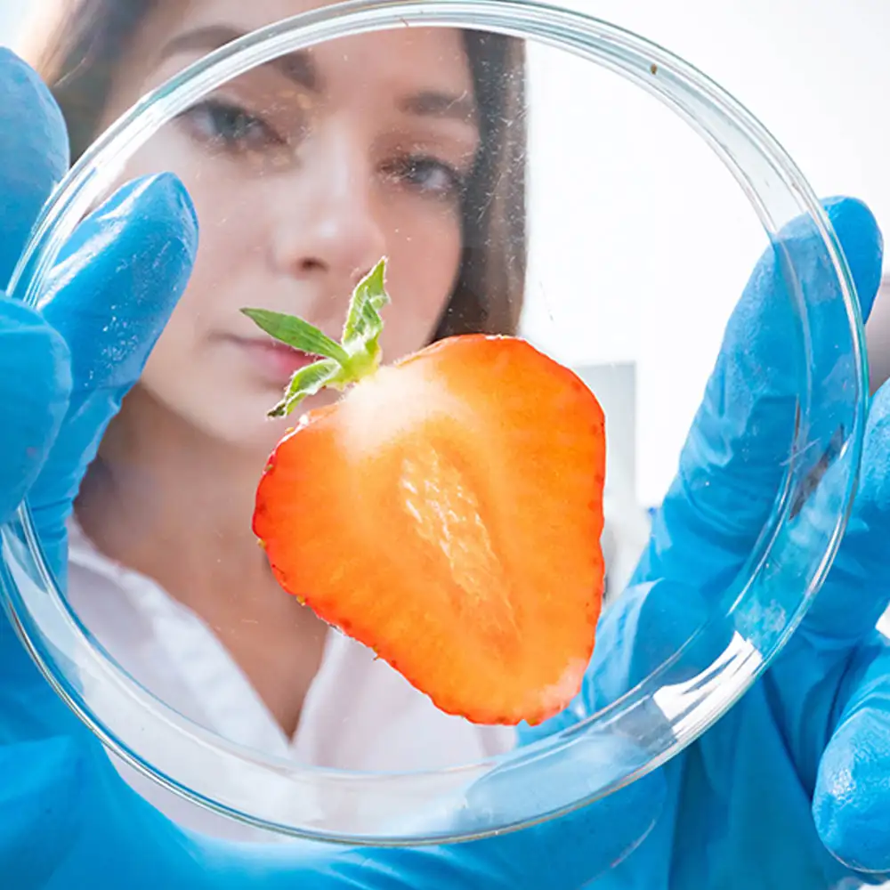 imagen-producto-thefoodtech