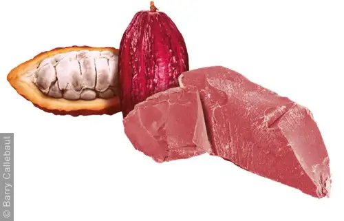 imagen-producto-thefoodtech