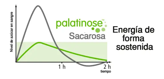 imagen-producto-thefoodtech