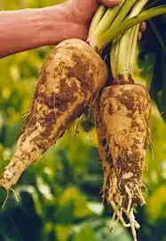 imagen-producto-thefoodtech