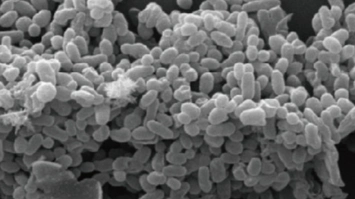 imagen-producto-thefoodtech