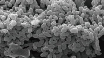 imagen-producto-thefoodtech