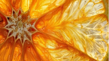 imagen-producto-thefoodtech