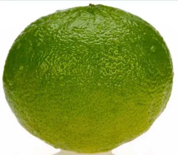 imagen-producto-thefoodtech