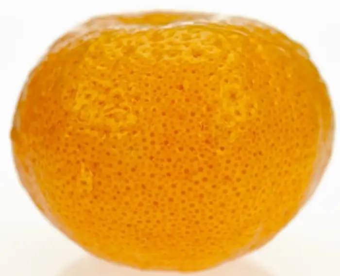 imagen-producto-thefoodtech