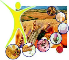 imagen-producto-thefoodtech