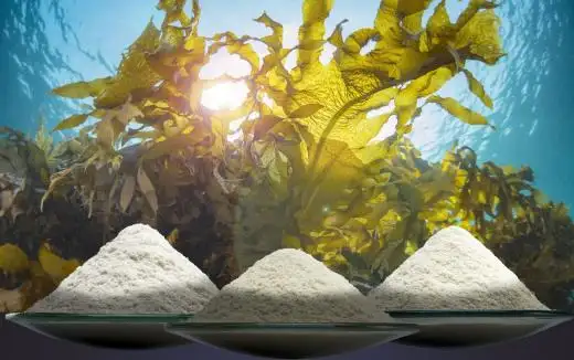 imagen-producto-thefoodtech