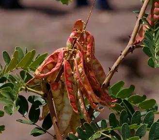 imagen-producto-thefoodtech