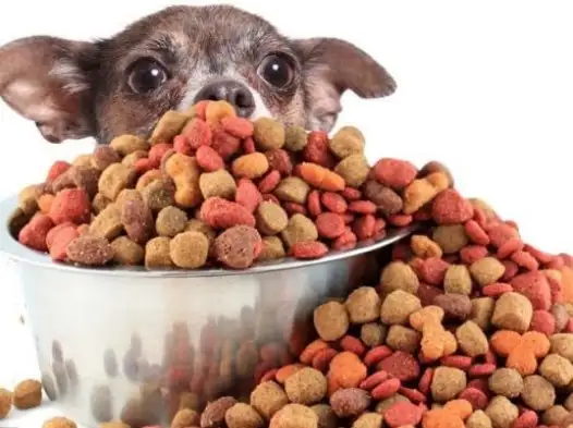 imagen-producto-thefoodtech