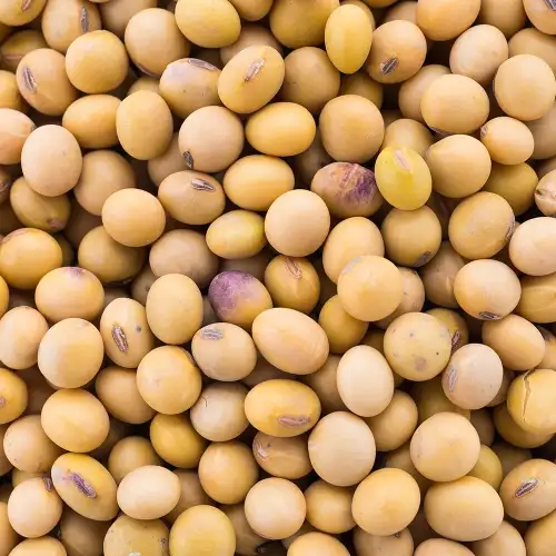 imagen-producto-thefoodtech