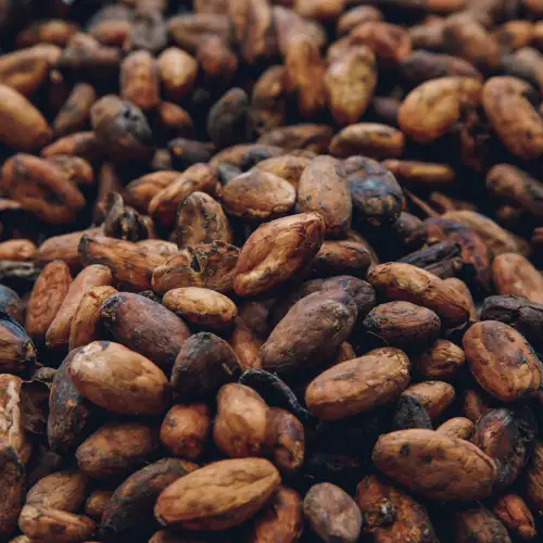 imagen-producto-thefoodtech