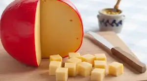 imagen-producto-thefoodtech