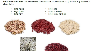 imagen-producto-thelogisticsworld