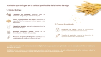 imagen-producto-thelogisticsworld