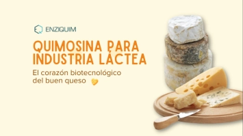 imagen-producto-thelogisticsworld