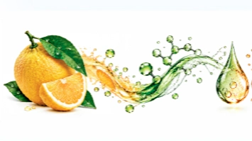 imagen-producto-thelogisticsworld
