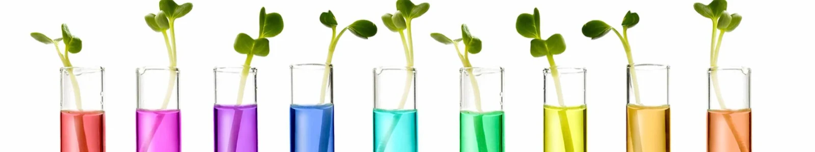 imagen-portada-thefoodtech