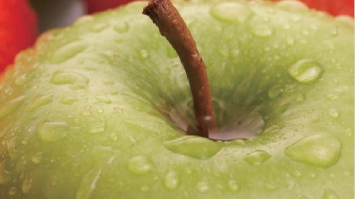 imagen-producto-thefoodtech