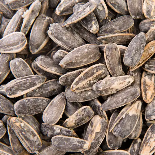 imagen-producto-thefoodtech