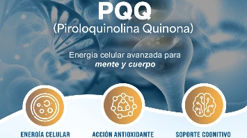 imagen-producto-thelogisticsworld