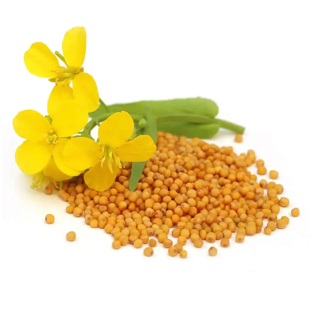 imagen-producto-thefoodtech