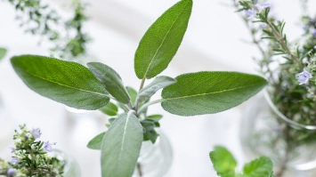 imagen-producto-thefoodtech