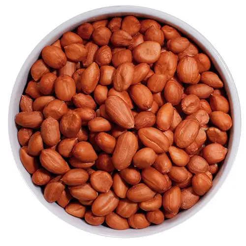 imagen-producto-thefoodtech