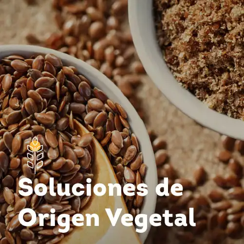 imagen-producto-thefoodtech