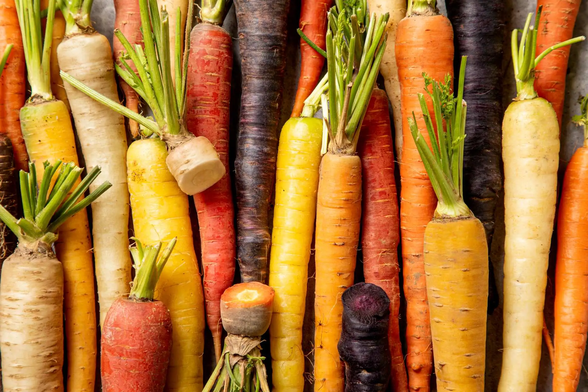 imagen-producto-thefoodtech