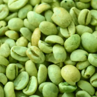 imagen-producto-thefoodtech