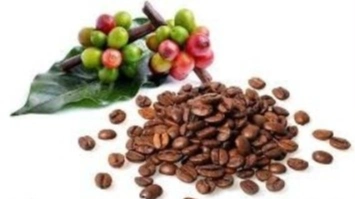 imagen-producto-thefoodtech