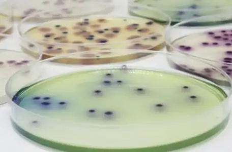 imagen-producto-thefoodtech