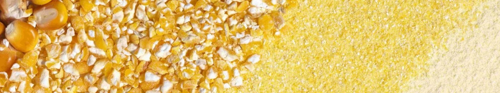imagen-portada-thefoodtech