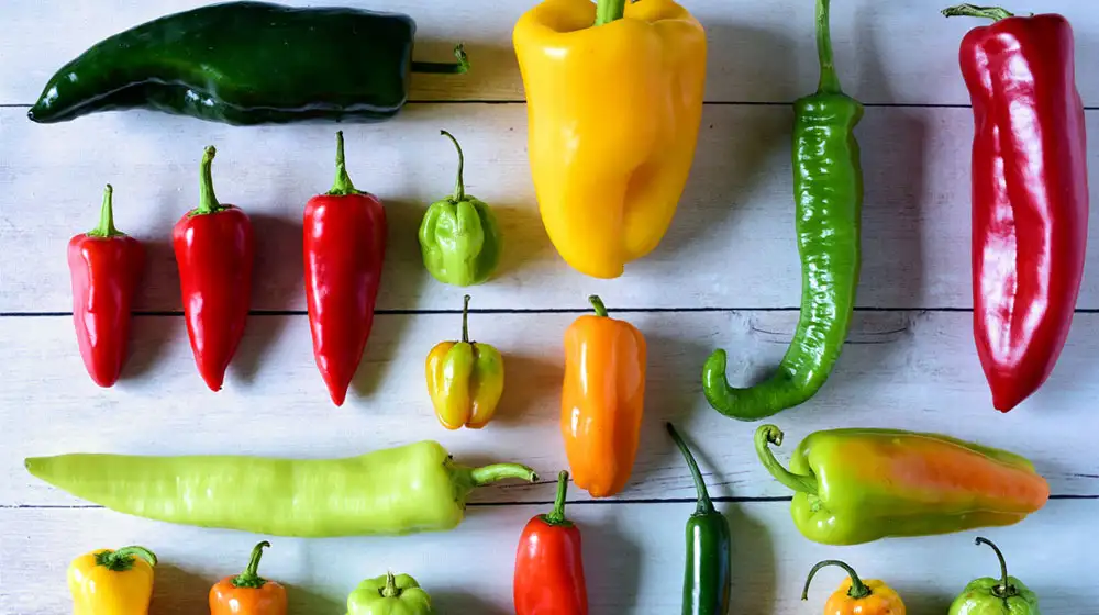 imagen-producto-thefoodtech