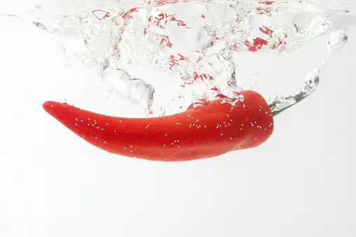 imagen-producto-thefoodtech