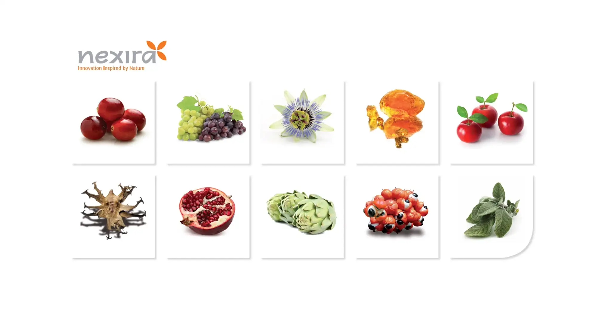 imagen-producto-thefoodtech