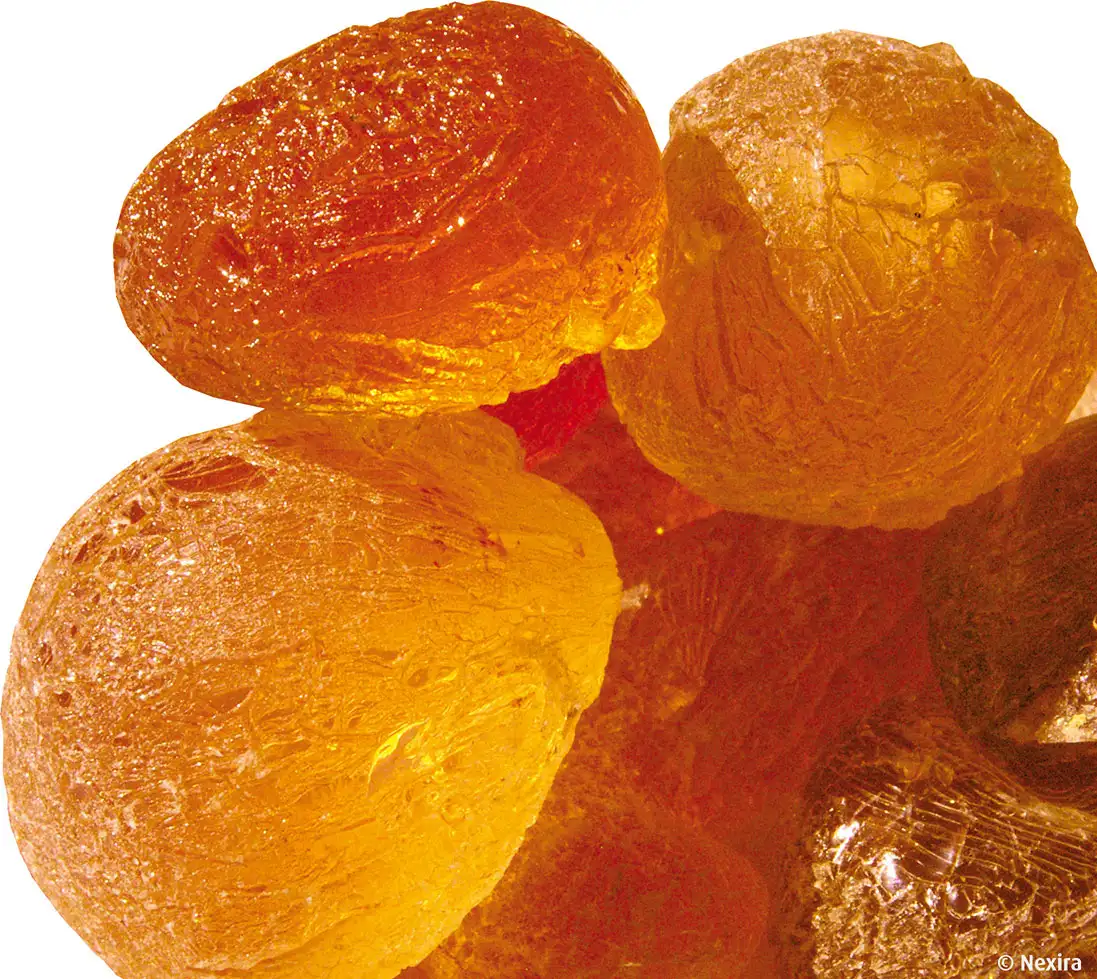 imagen-producto-thefoodtech