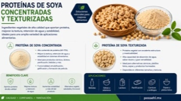 imagen-producto-thelogisticsworld