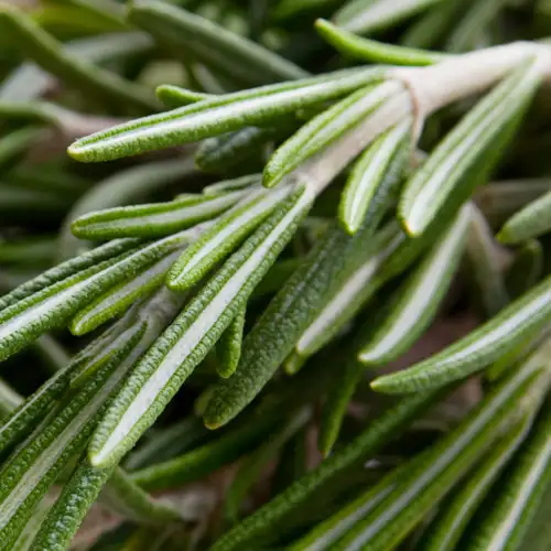 imagen-producto-thefoodtech