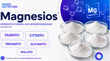 imagen-producto-thelogisticsworld