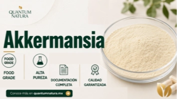 imagen-producto-thelogisticsworld