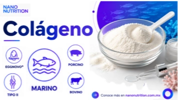 imagen-producto-thelogisticsworld