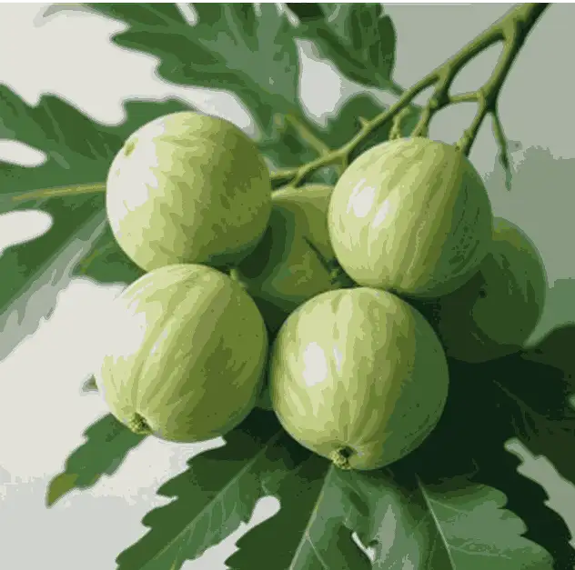 imagen-producto-thefoodtech